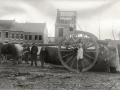 Houthandel Koklenberg 1926 (dikke Canada).